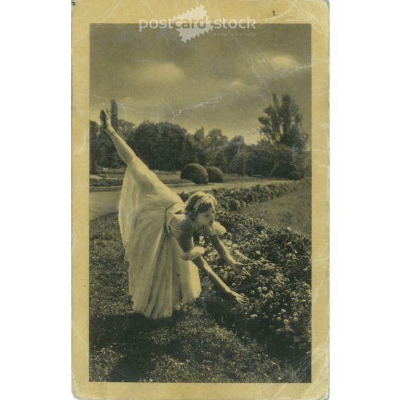 1955 - Szarvas Janina „Diótörő”. Fotólap, képeslap. (2791118)
