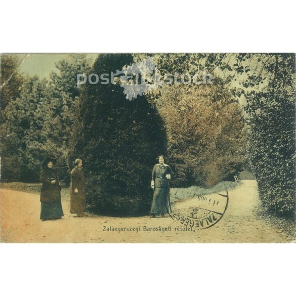 1913 - Zalaegerszegi Barosligeti részlet. Színezett fotólap, képeslap. (2791304)