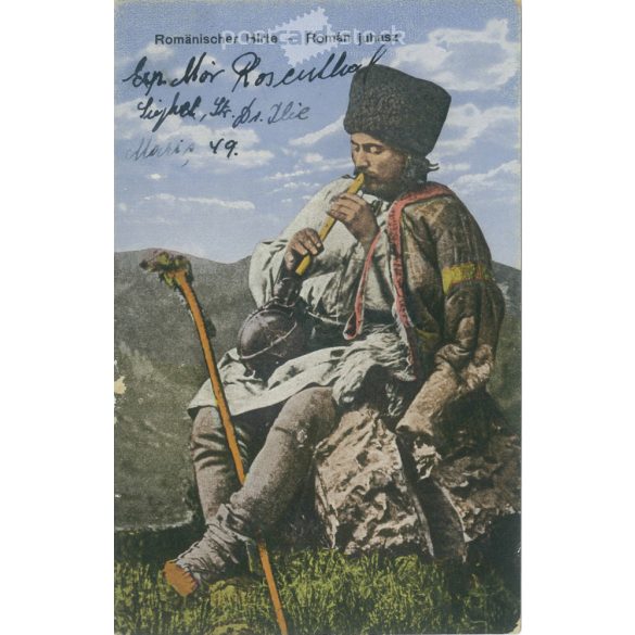 1914 - Román juhász. Színezett fotólap, képeslap. (2791349)