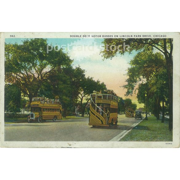 1921 - Chicago. Lincoln Park. Színezett fotólap, képeslap. (2791353)