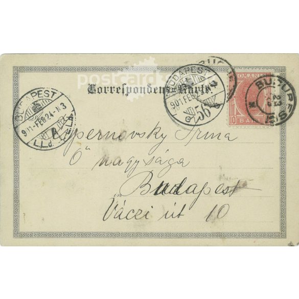 1901 - Geyer Stefi hegedűművésznő. A Zürichi Konzervatórium koncertszakának hegedűtanára. Fotólap, képeslap. (2791491)