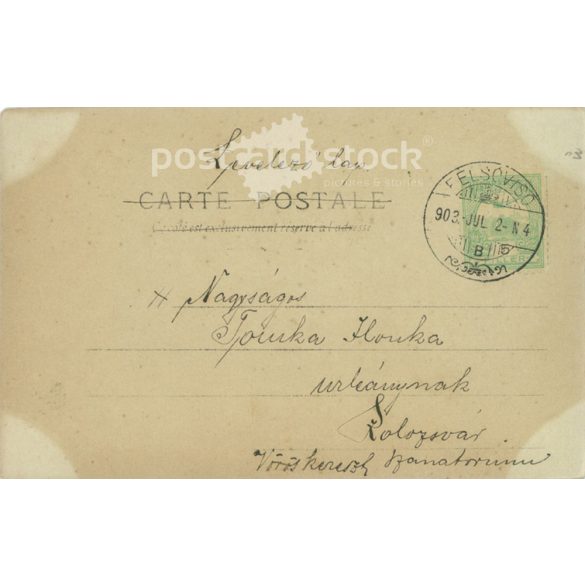 1931 - Boldog új évet! Színezett fotólap, üdvözlőlap. (2791528)