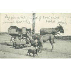   1905 - Komikus helyzetek, beállított jelenetek sorozat. Fotólap, képeslap. (2791581)