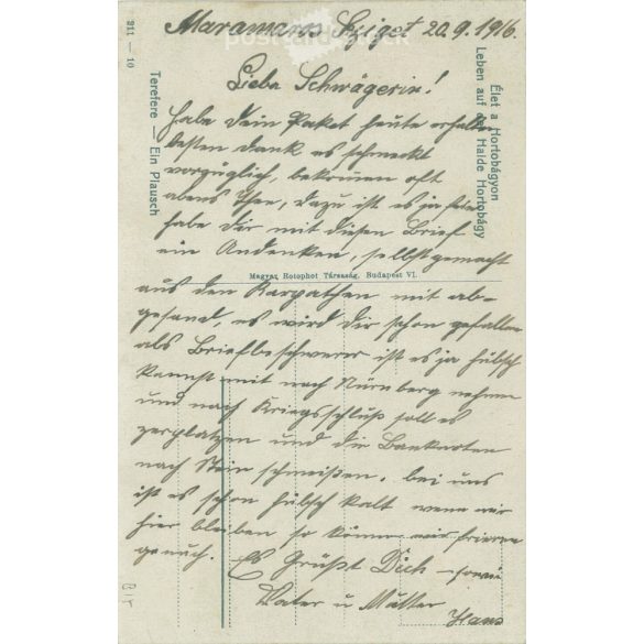 1916 - Élet a Hortobágyon. Színezett fotólap, képeslap. (2791600)