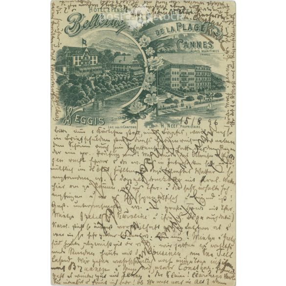 1896 - Weggis. Illusztrált képeslap. (2791606)
