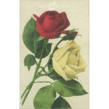 1908 - Romantikus képeslap. (2791659)