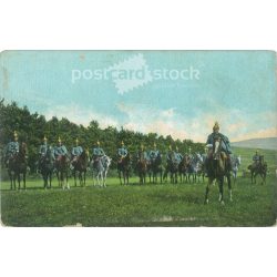   Osztrák-magyar dragonyos lovasság. Színezett fotólap, képeslap. (2791691)