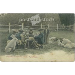  1908 – Csikósok és pásztorok ebéde a Hortobágyon. Színezett fotólap, képeslap. (2791720)