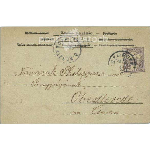 1901 - Romantikus képeslap. Színezett fotólap. (2791728)