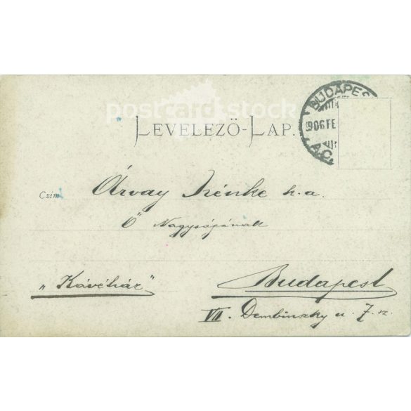 1906 - Férfi portré. Képeslap, fotólap. (2791769)