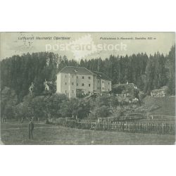   1908 - Gyógyüdülő Neumarkt Obersteier. Képeslap, fotólap. (2791772)