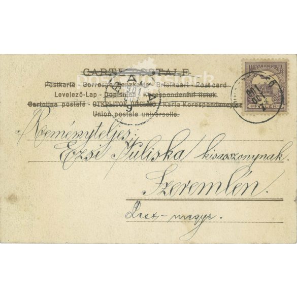 1901 - Romantikus képeslap. Fotólap. (2791802)