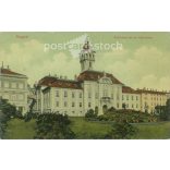 1909 - Szeged. Képeslap, színezett fotólap. (2791803)