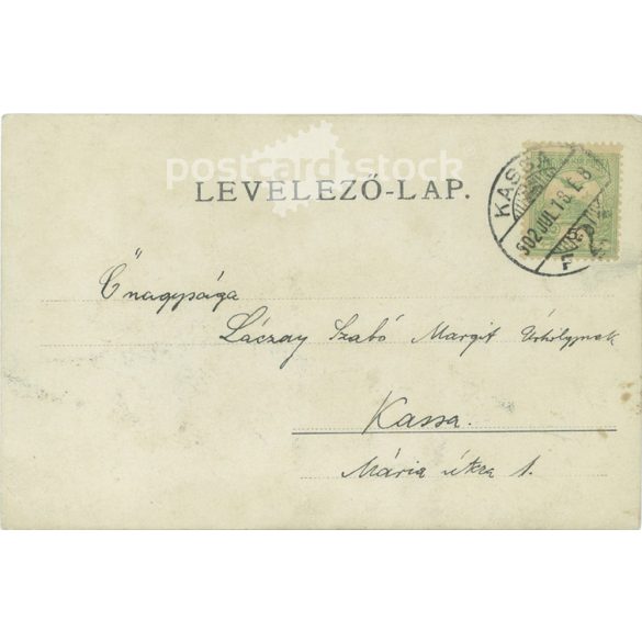 1902 - Fiatal fiúk, egységes öltözékben, a középsőn kitüntetésekkel. Képeslap, fotólap. (2791806)