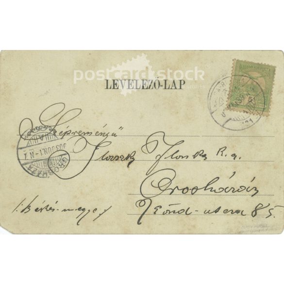 1903 - Üdvözlet Rózsahegyről. Képeslap, színezett fotólap. (2791808)