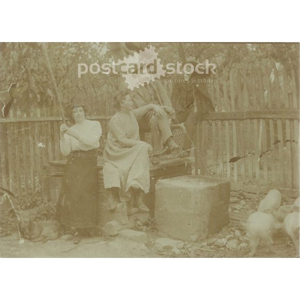 Idilli csoportkép a baromfiudvar sarkában. Fotólap, eredeti papírkép. (2791899)