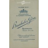 Brunhuber Géza, budapesti fotóműtermében készült kabinetfotó. Fiatalember művészi portréfotója, elegáns öltönyben, nyakkendőben. Kabinetfotó / keményhátú fotó / vizitkártya, CDV fotó. (2791961)