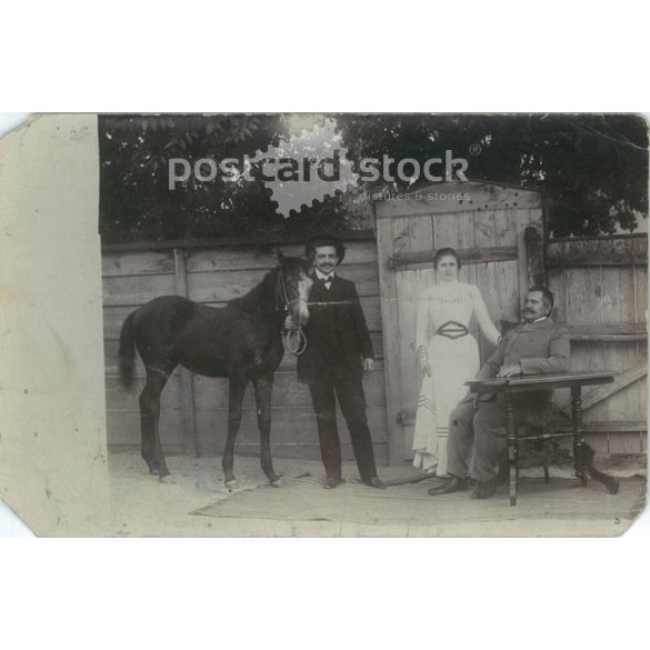 cca 1905 - Fiatal nő édesapjával, vásárra induló legény csikóval. Eredeti papírkép. Képeslap, fotólap. (2791995)