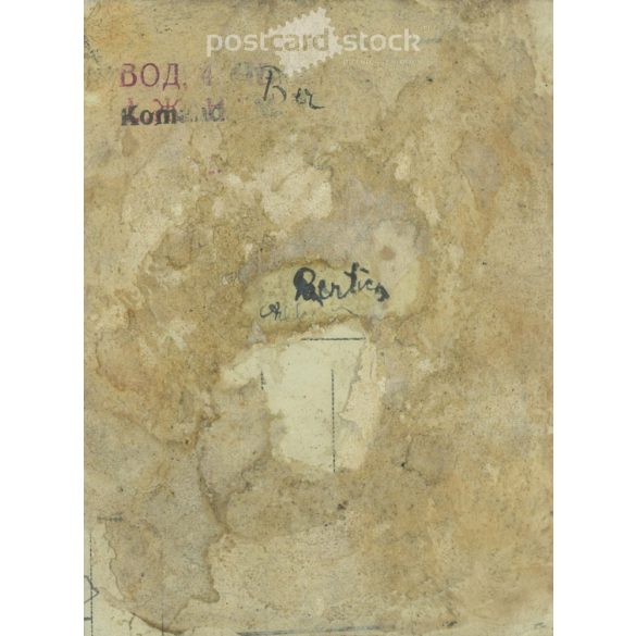 Fiatal nő portréfotója, elegáns, csíkos blúzban. Kisméretű papírkép, fotólap részlet. (2792017)