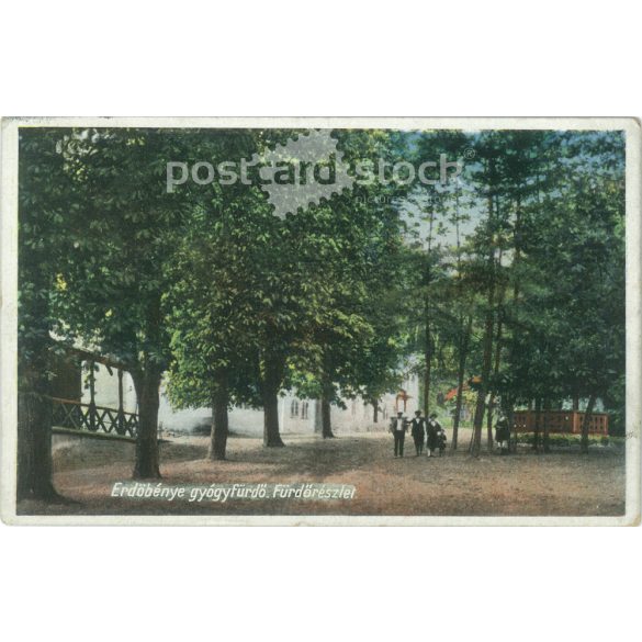 1929 - Erdőbénye. Tokaj-hegyalja egyik legrégebbi települése. Színezett fotólap, képeslap. (2792072)