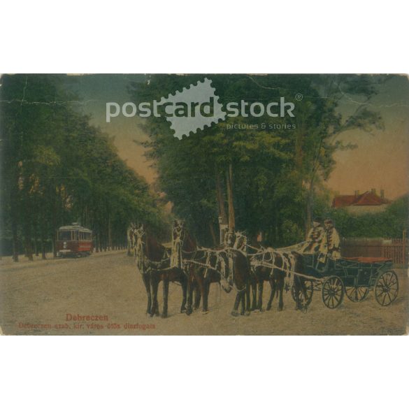 1916 - Debrecen. Szabad királyi város, ötös díszfogata. Színezett fotólap, képeslap. (2792081)