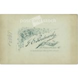 1902 - F. E. Bednarik fényképészeti műterem, Bécs. Fiatal nő egészalakos fotója ünnepi, népies öltözékben. Színezett kabinetfotó / keményhátú fotó / vizitkártya, CDV fotó. (2792098)