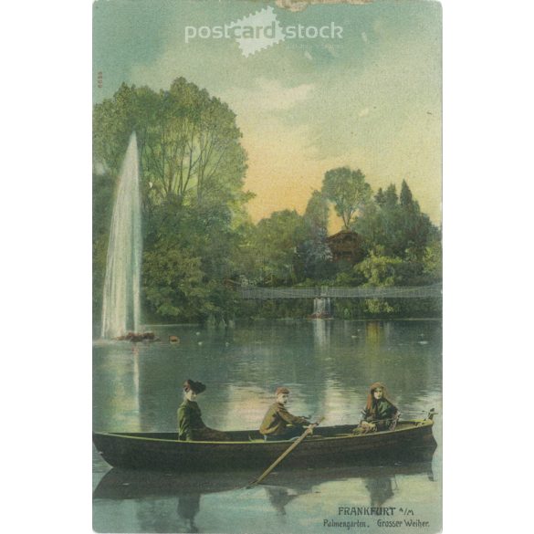 1900-as évek eleje - Frankfurt, pálmakert. Színezett fotólap, képeslap. (2792128)