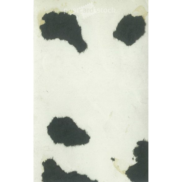 1920-as évek. Elegáns, fiatal nő fotója, korabeli divatos frizurával, nyakékkel. Eredeti papírkép.  (2792159)