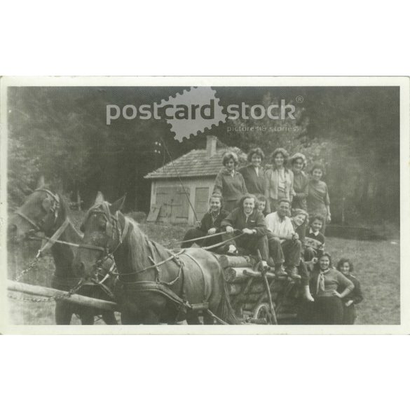 1959 - Lányok egy fával rakott szekéren, valahol Miskolc közelében. Vidám csoportkép. Eredeti papírkép. (2792171)