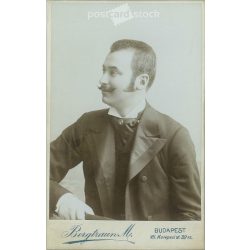   1900-as évek eleje - Fiatal férfi, műtermi portréfotója. Bergtraun M. fényképészeti műterme készítette, Budapesten. Kabinetfotó / keményhátú fotó / vizitkártya, CDV fotó. (2792177)