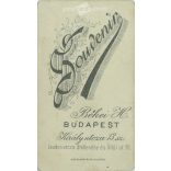 1900-as évek eleje - Fiatal férfi, műtermi portréfotója. Békei H. fényképészeti műterme készítette, Budapesten. Kabinetfotó / keményhátú fotó / vizitkártya, CDV fotó. (2792180)