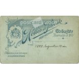 1898 - Elegáns, fiatal nő, műtermi fotója. Hollós és Szlovák, fényképészeti műterme készítette, Győrött. Kabinetfotó / keményhátú fotó / vizitkártya, CDV fotó. (2792203)