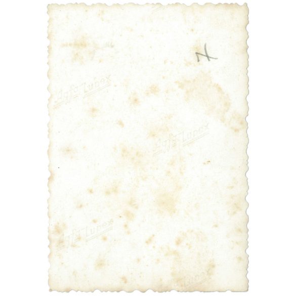 A létrán. 1940-es években, Magyarországon. A kép készítője ismeretlen. Eredeti papírkép. (2792214)