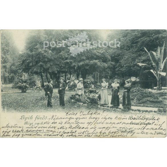 1902 - Lipik fürdő, régi park (mai Horvátország). Készítette Schmidt Edgar Drezda-Budapesten. Fotólap, képeslap. (2792287)