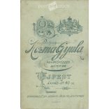 1910-es évek. Fiatal nő, pöttyös ruhában, személye ismeretlen. A fotó Kozma Gyula, fényképészeti műtermben készült, Újpesten. Eredeti kabinetfotó / keményhátú fotó / vizitkártya, CDV fotó. (2792309)