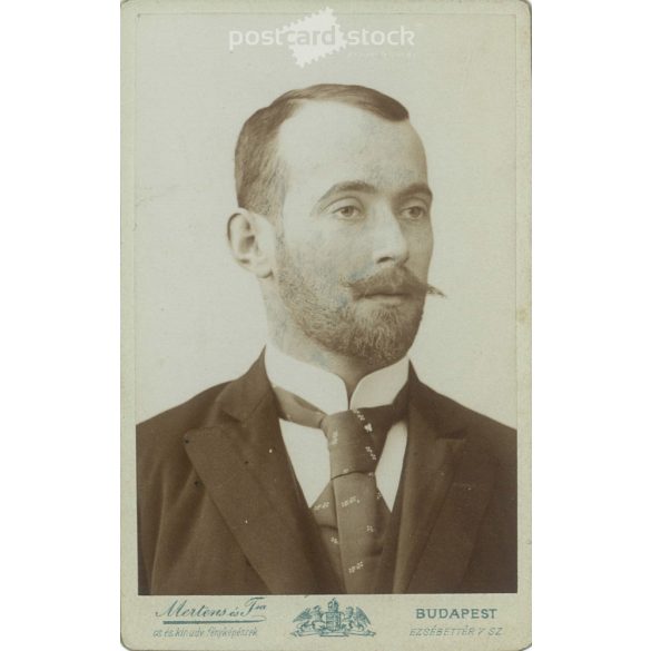 1800-as évek vége. Elegáns, fiatal férfi, portréfotója, személye ismeretlen. A fotó Mertens és Társa, fényképészeti műtermben készült, Budapesten. Eredeti kabinetfotó / keményhátú fotó / vizitkártya, CDV fotó. (2792311)
