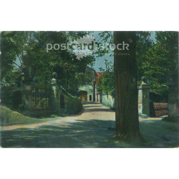 1915 - Brüsszeli bélyegzésű színezett fotólap, képeslap. (2792317)