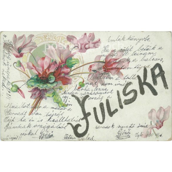 1900 - Üdvözlet Juliskának a századfordulóról. Litografált, csillámporos üdvözlőlap. (2792324)