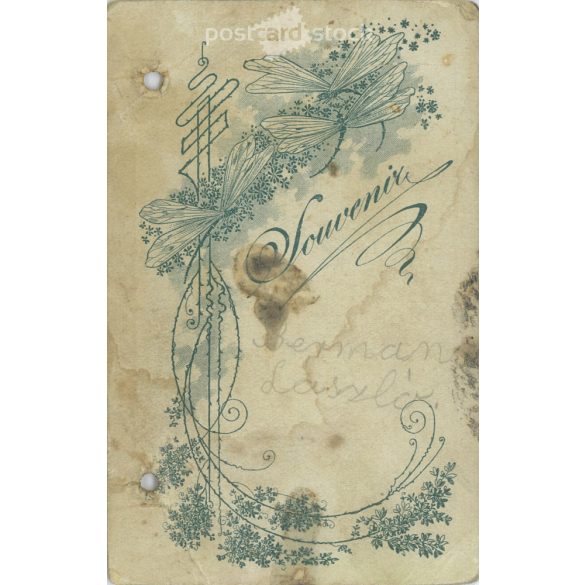 1900-as évek eleje. Bermann László műtermi fotója. Régi fotó / Vizitkártya / CDV fotó. (2792398)