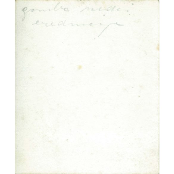 1930-as évek. Gombaszedés eredménye. Fekete-fehér eredeti papírkép, régi fotó. (2792402)