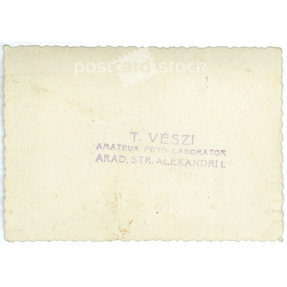 1930-as évek, Arad. Vidám fiatalok pikniken. Fekete-fehér eredeti papírkép, régi fotó. (2792406)