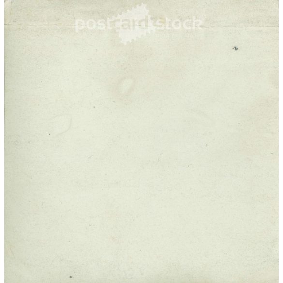 1920-as évek. Sétakocsikázásra készen. Fekete-fehér eredeti papírkép, régi fotó. (2792408)