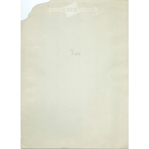 1900-as évek eleje. Testvérpár, azonos öltözékben. Fekete-fehér eredeti papírkép, régi fotó. A kép készítője ismeretlen. (2792410)