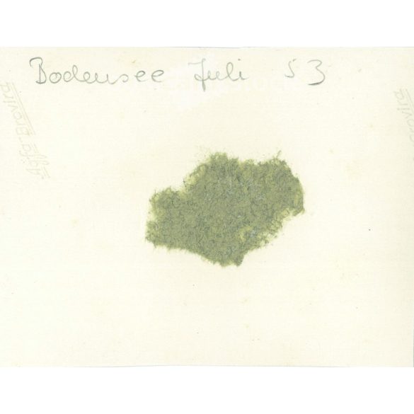 1953 - Németország. Bodensee. Csinos, fiatal nő ül az autón. Készítője ismeretlen. Fekete-fehér eredeti papírkép, régi fotó.  (2792425)