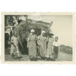 1930-as évek. Németrország. Szénagyűjtés vége. Készítője ismeretlen. Fekete-fehér eredeti papírkép, régi fotó. (2792438)