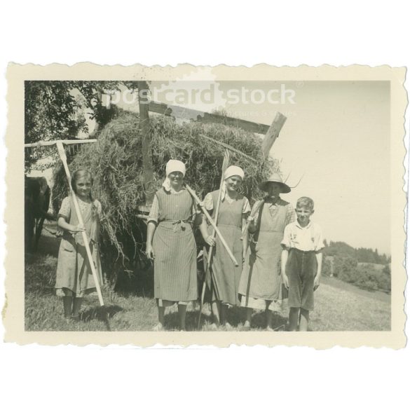 1930-as évek. Németrország. Szénagyűjtés vége. Készítője ismeretlen. Fekete-fehér eredeti papírkép, régi fotó. (2792438)