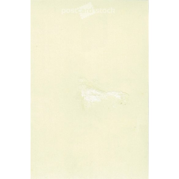 1950-es évek. Németrország. Karácsony kettesben. Készítője ismeretlen. Fekete-fehér eredeti papírkép, régi fotó. (2792444)