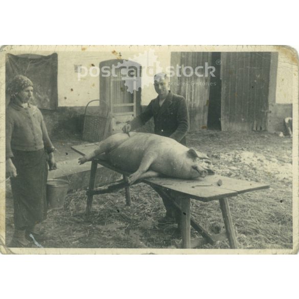 1960-as évek. Németország. Házi disznótor. Fekete-fehér eredeti papírkép, régi fotó. (2792481)