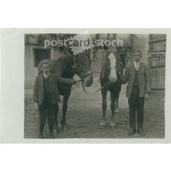   1950-es évek. Németország. Fiatal legények, lovakkal. A kép készítője és a rajta szereplők személye ismeretlen. Eredeti papírkép, régi képeslap, fotólap.  (2792493)