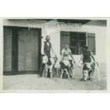 1950-es évek.  Németország. Bocik egy gazdaság udvarán. Fekete-fehér eredeti papírkép, régi fotó. (2792499)